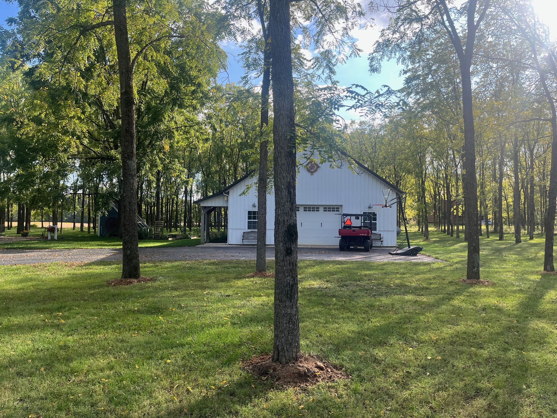 The barn workshop seen from the yard, framed by tall trees